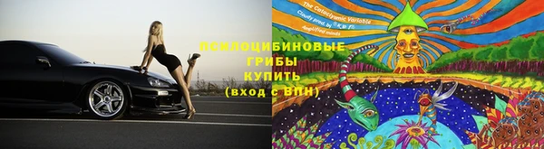 MESCALINE Горно-Алтайск