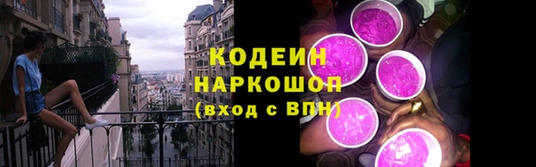 индика Горнозаводск