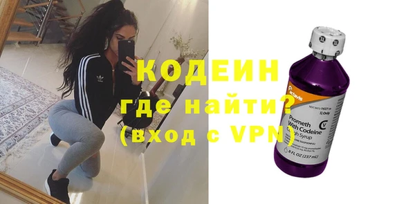 индика Горнозаводск
