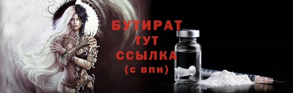 индика Горнозаводск
