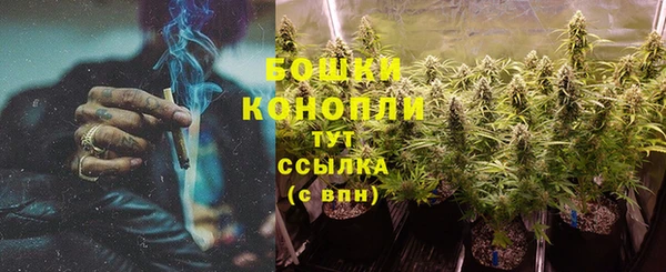 MESCALINE Горно-Алтайск