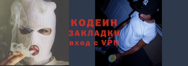 индика Горнозаводск