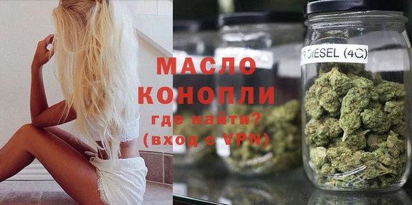 индика Горнозаводск