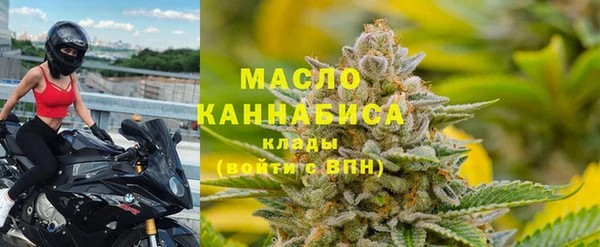 индика Горнозаводск