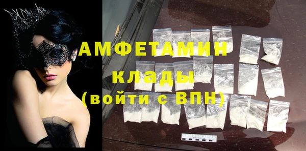 индика Горнозаводск