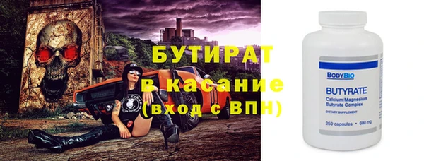 индика Горнозаводск