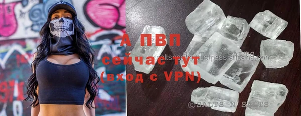 индика Горнозаводск