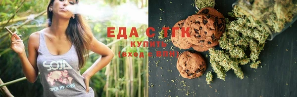 индика Горнозаводск