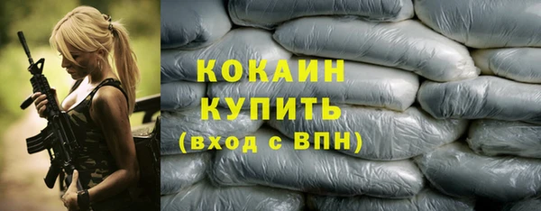 индика Горнозаводск